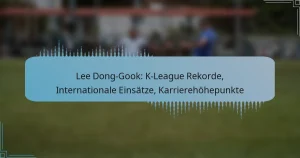 Lee Dong-Gook: K-League Rekorde, Internationale Einsätze, Karrierehöhepunkte