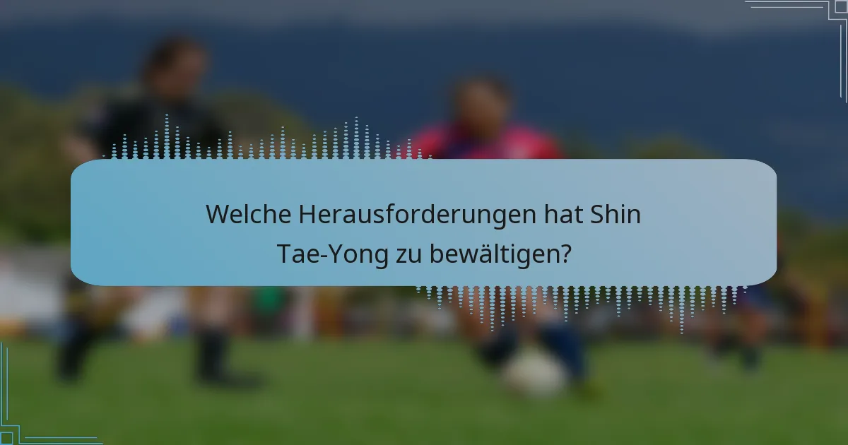 Welche Herausforderungen hat Shin Tae-Yong zu bewältigen?